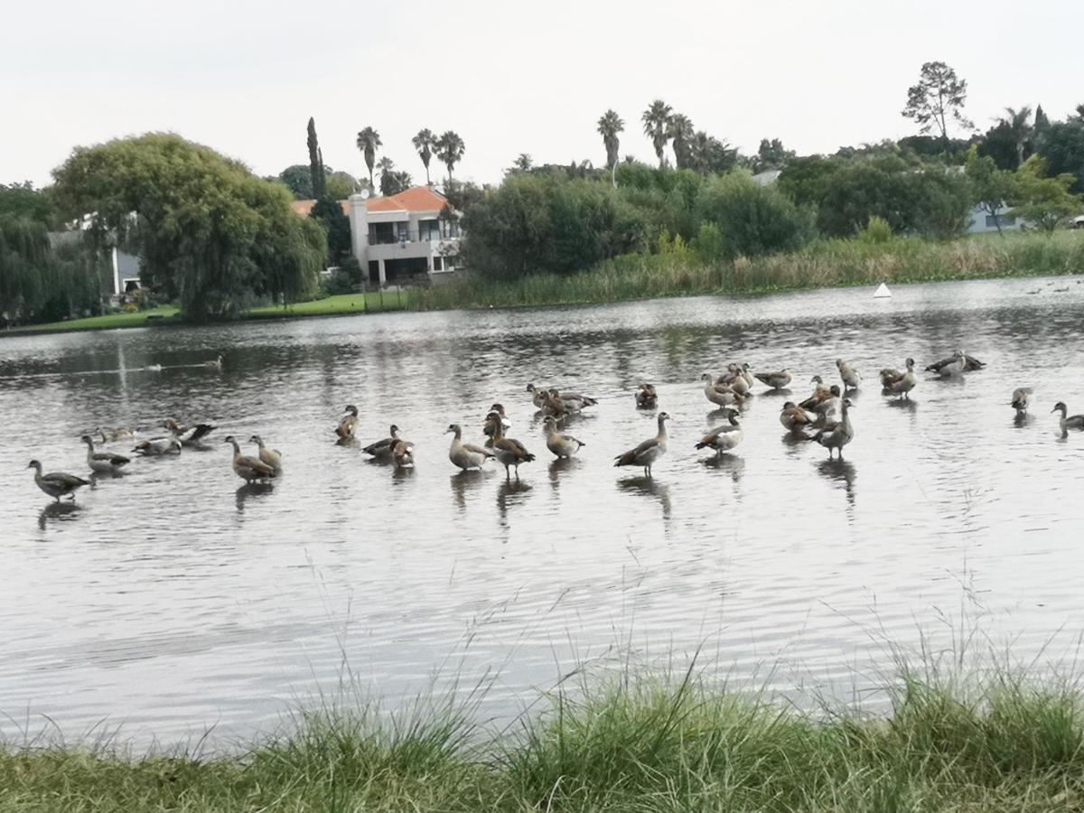 Southy Inn By The Lake Benoni Eksteriør billede